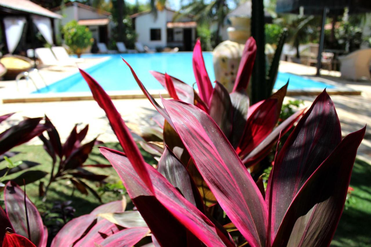 Hotel E Pousada La Dolce Vita Canoa Quebrada Exterior photo